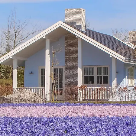 Beautiful In With Wifi Holiday home